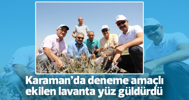 Karaman’da deneme amaçlı ekilen lavanta yüz güldürdü