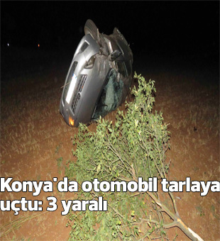 Konyada Otomobil Tarlaya Uçtu: 3 Yaralı