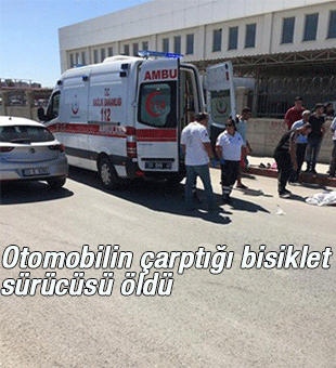 Otomobilin Çarptığı Bisiklet Sürücüsü Öldü