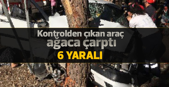 Hafif ticari araç ağaca çarptı: 6 yaralı