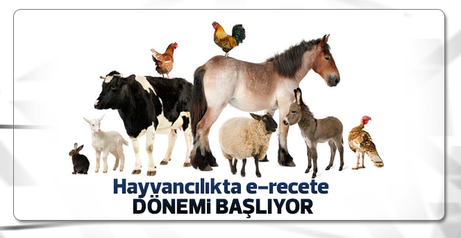 E-Reçete Dönemi Başlıyor