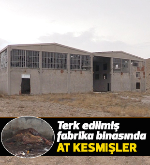 Konya’da at kesildiği iddiası