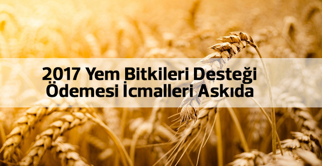 2017 Yem Bitkileri Desteği Ödemesi İcmalleri Askıda