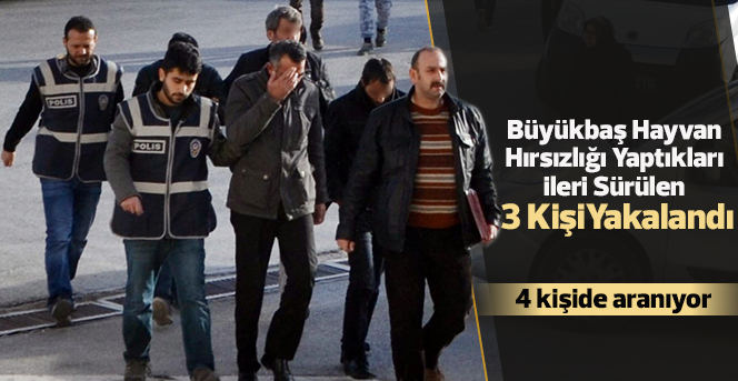 Büyükbaş hayvan hırsızlığı yapan 3 kişi yakalandı