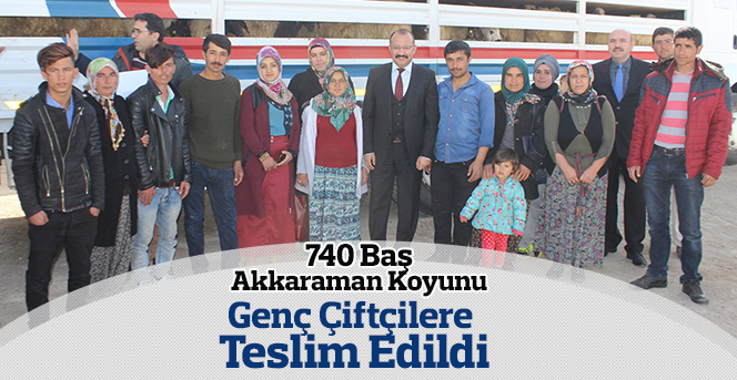 740 Baş Akkaraman Koyunu  Genç Çiftçilere Teslim Edildi