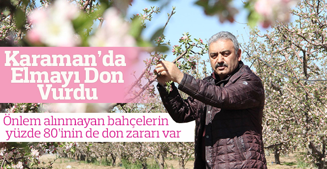 Karaman’da elmayı don vurdu