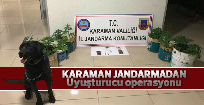 Jandarmadan Uyuşturucu Operasyonu