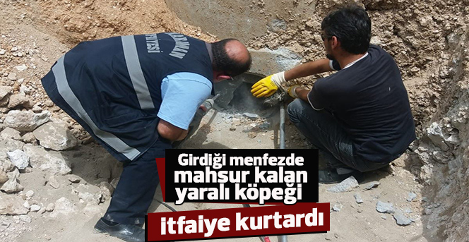 Yaralı köpeği itfaiye kurtardı