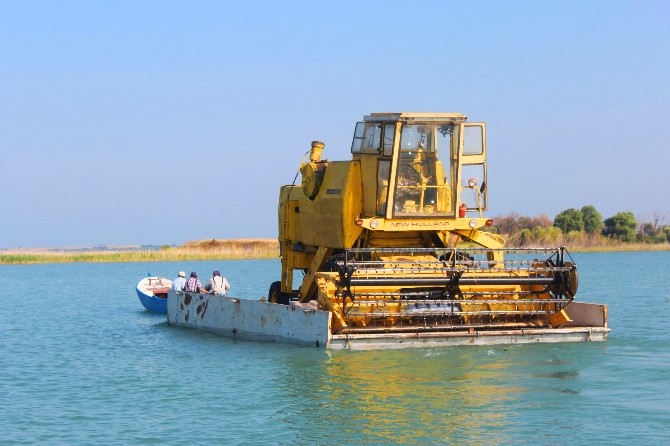 Biçerdöverler Sal Üzerinde Gölden Adaya Taşınıyor