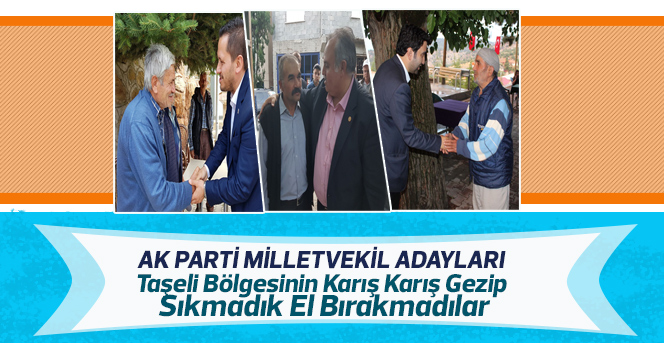 AK Parti Milletvekil adayları Taşeli bölgesine adeta çıkarma yaptı