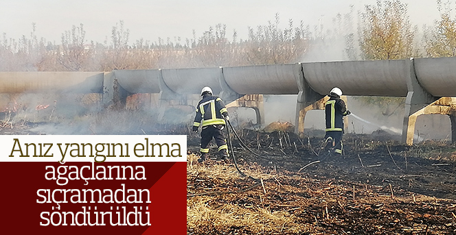 Anız yangını elma ağaçlarına sıçramadan söndürüldü