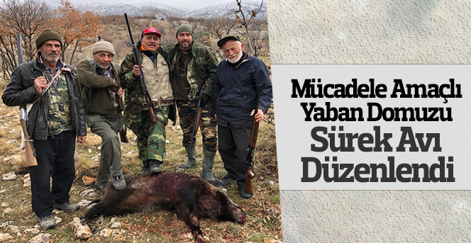 Mücadele Amaçlı Yaban Domuzu Sürek Avı Düzenlendi