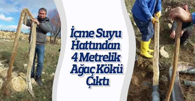 İçme Suyu Hattından 4 Metrelik Ağaç Kökü Çıktı