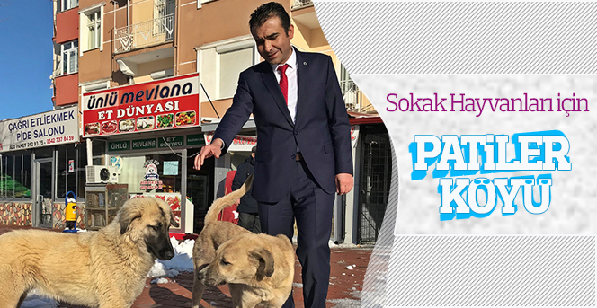 Kalaycı: “Sokak Hayvanları için "Patiler Köyü" Kuracağız