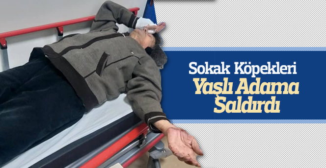 Yaşlı Adama Sokak köpekleri saldırdı