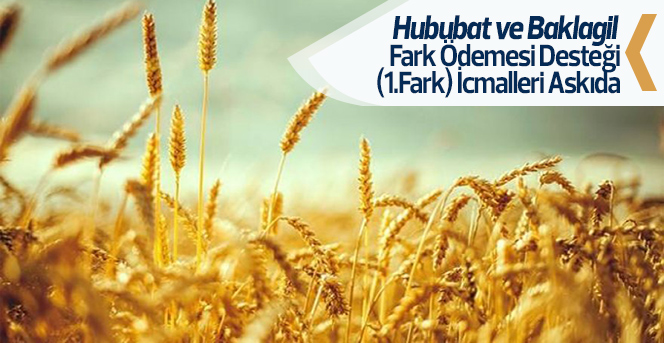 Hububat ve Baklagil Fark Ödemesi Desteği Askıda