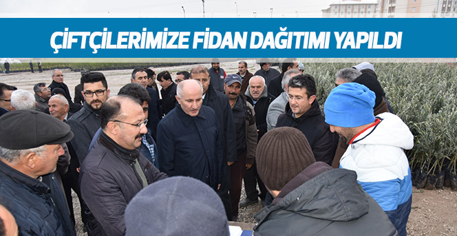 Çiftçilerimize Fidan Dağıtımı Yapıldı