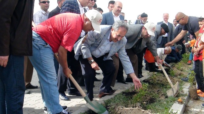 Akşehir Belediyesi’nden Ağaç Dikme Etkinilği