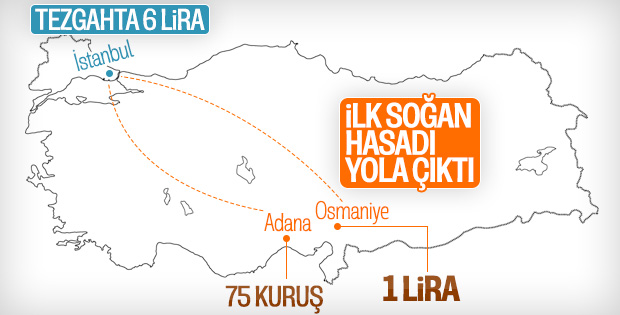 Osmaniye’de soğanın tarladaki fiyatı 1 lira