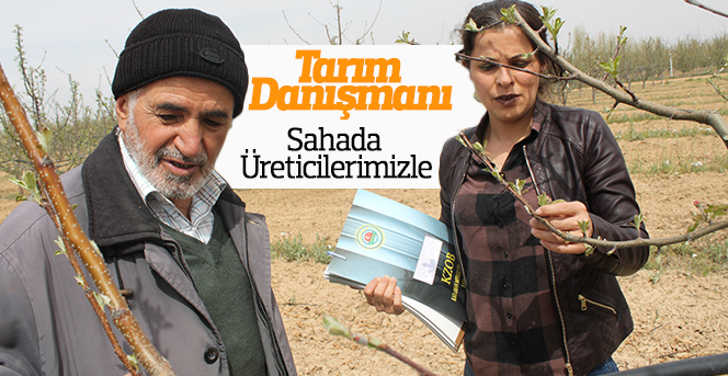 Karaman Ziraat Odası Tarım Danışmanı Sahada Üreticilerimizle