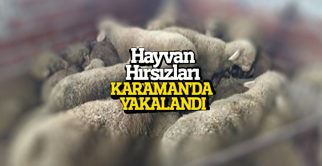 Antalya’da meydana gelen hayvan hırsızları Karaman'da Yakalandı