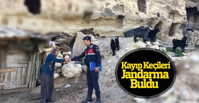 Kayıp Keçileri Jandarma Buldu