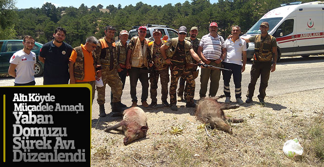 Altı Köyde Mücadele Amaçlı  Yaban Domuzu Sürek Avı Düzenlendi