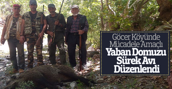 Göcer Köyünde Yaban Domuzu Sürek Avı Düzenlendi