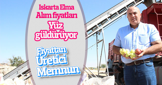 Karaman’da ıskarta elma alım fiyatları yüz güldürüyor