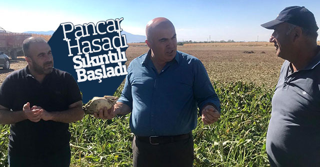 Pancar Hasadı Sıkıntılı Başladı.