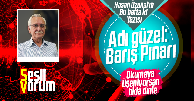 Hasan Özünal'ın "Barış Pınarı" yazısı