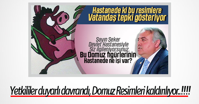 Domuz resimleri kaldırılıyor