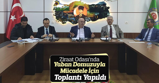 Ziraat Odası’nda Yaban Domuzuyla Mücadele İçin Toplantı Yapıldı