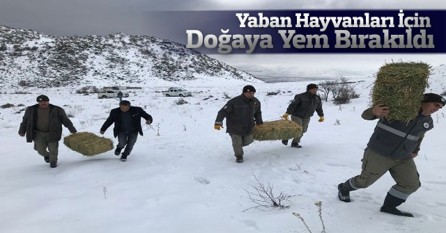 Yaban Hayvanları İçin Doğaya Yem Bırakıldı