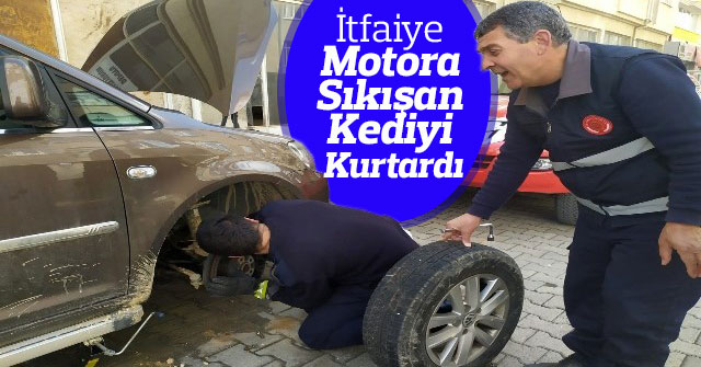 Otomobilin motoruna giren kediyi itfaiye kurtardı