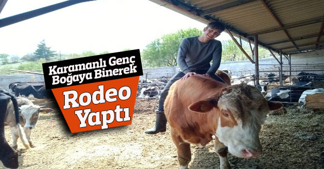 Karamanlı genç boğaya binerek rodeo yaptı