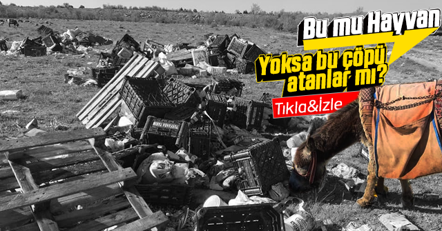 Boş tarlaya atılan çöp yığınları vatandaşı çileden çıkardı.