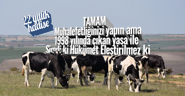 Mera Otlatma Planı 22 yıllık hadise