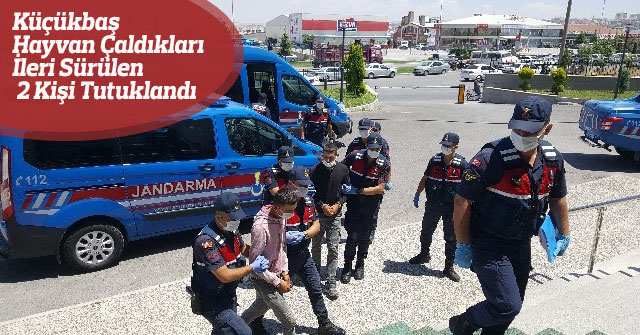 Küçükbaş Hayvan Çaldıkları İleri Sürülen 2 Kişi Tutuklandı