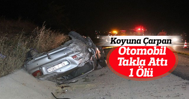 Koyuna Çarpan Otomobil Takla Attı: 1 Ölü