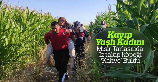 Kayıp yaşlı kadını mısır tarlasında ‘Kahve' buldu