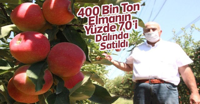 Karaman'da üretilen 400 bin ton elmanın yüzde 70'i dalında satıldı