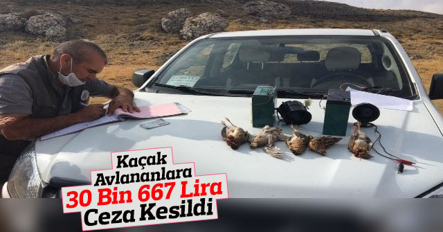 Kaçak avlananlara 30 bin 667 lira ceza kesildi