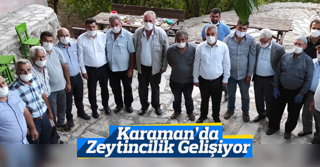 Karaman’da Zeytincilik Gelişiyor ve Değerleniyor