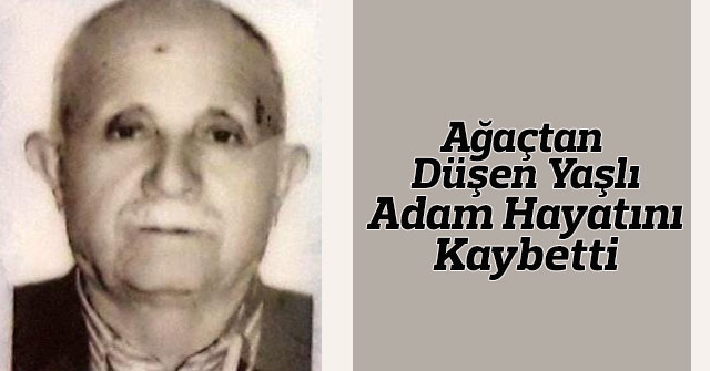 Karaman'da ağaçtan düşen yaşlı adam hayatını kaybetti