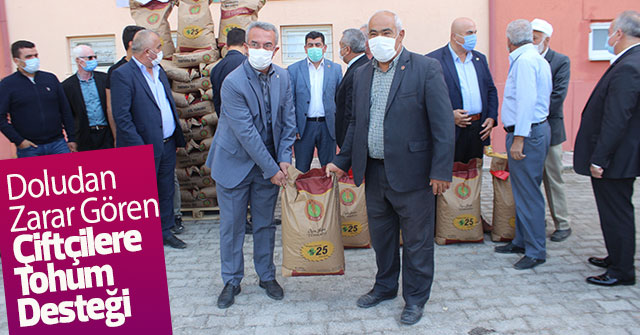Doludan  Zarar Gören Çiftçilere Tohum Desteği