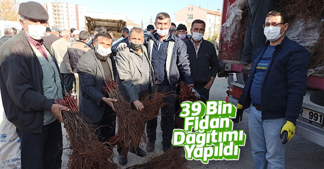 39 Bin Fidan Dağıtımı Yapıldı