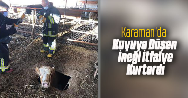 Karaman'da kuyuya düşen ineği itfaiye kurtardı