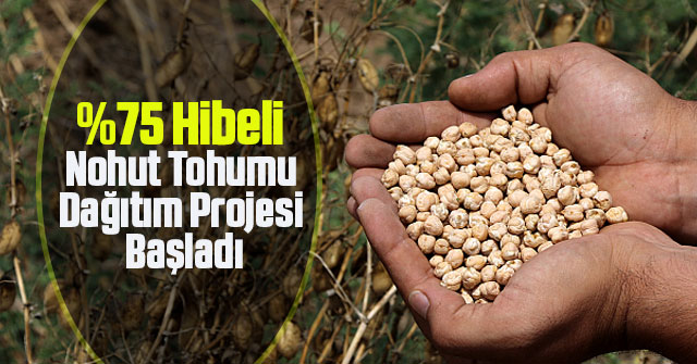 Hibeli Nohut Tohumu Dağıtım Projesi Başladı