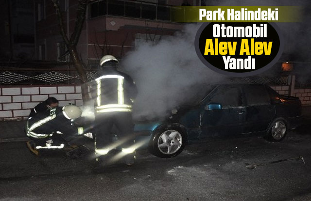 Park Halindeki Otomobil Alev Alev Yandı